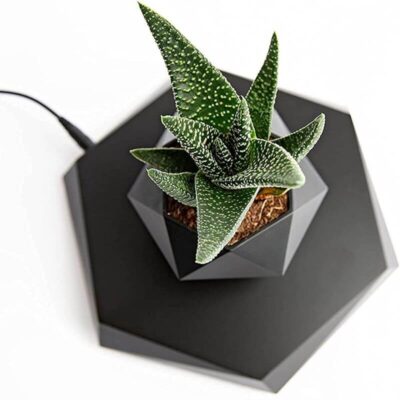 magnetic vase - Pot de Fleur en Lévitation - Science Labs