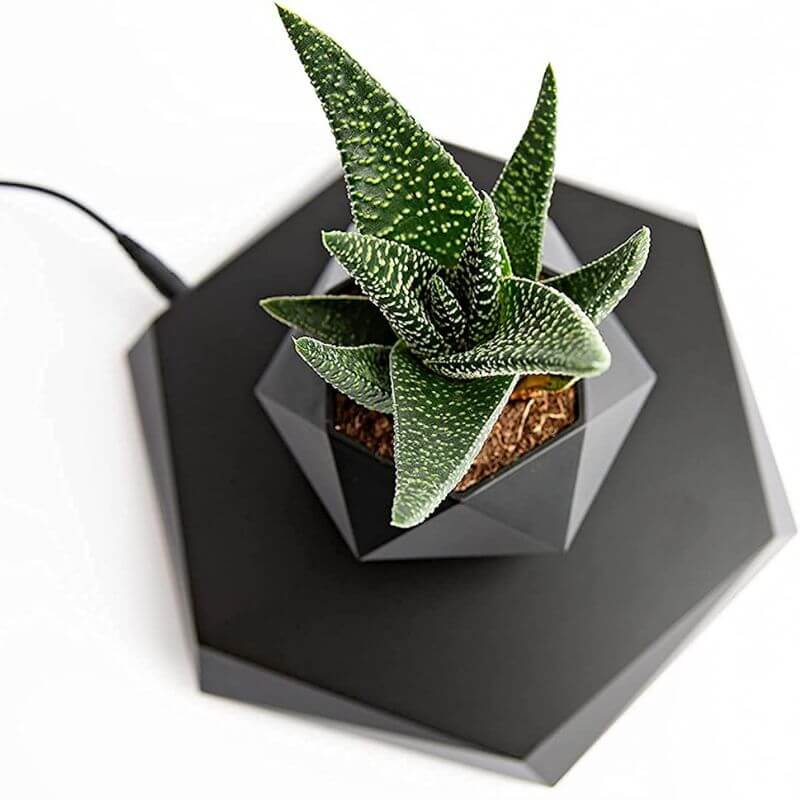 magnetic vase - Pot de Fleur en Lévitation - Science Labs