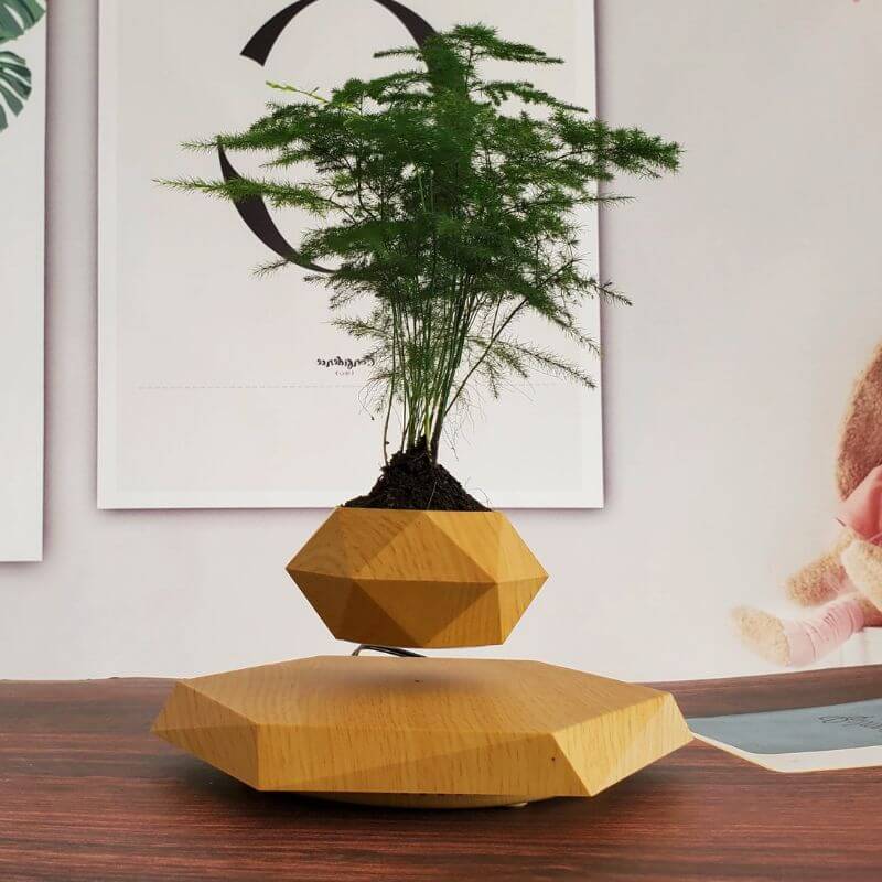 Plante en lévitation - Pot de Fleur en Lévitation - Science Labs