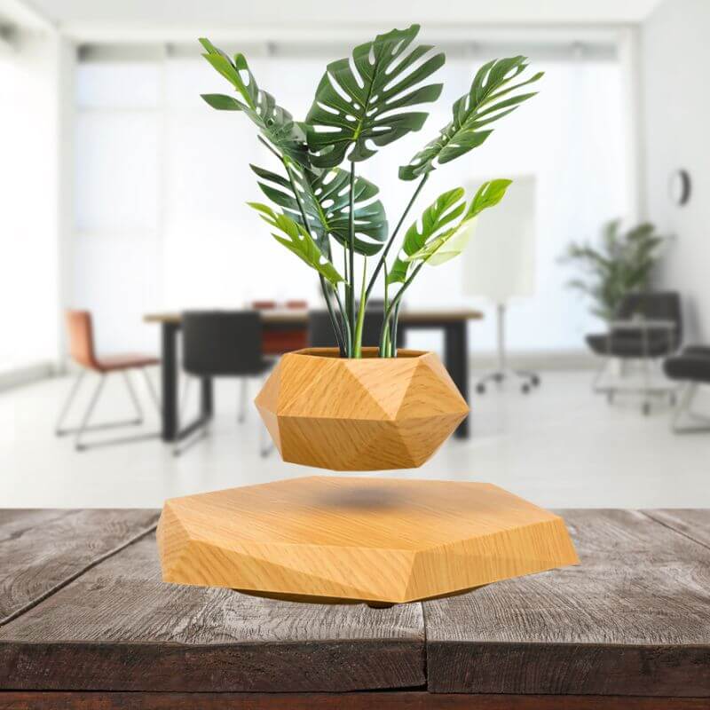 Holzen Levitating Plant Vase, Schwebende Holzvase