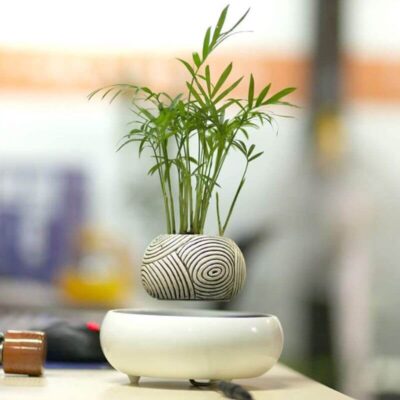 Plante Magnétique - Pot de Fleur en Lévitation - Science Labs