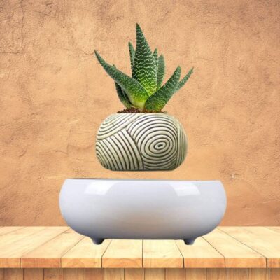 Decorative Magnetic Plant Pot, Schwebender Blumentopf mit Muster