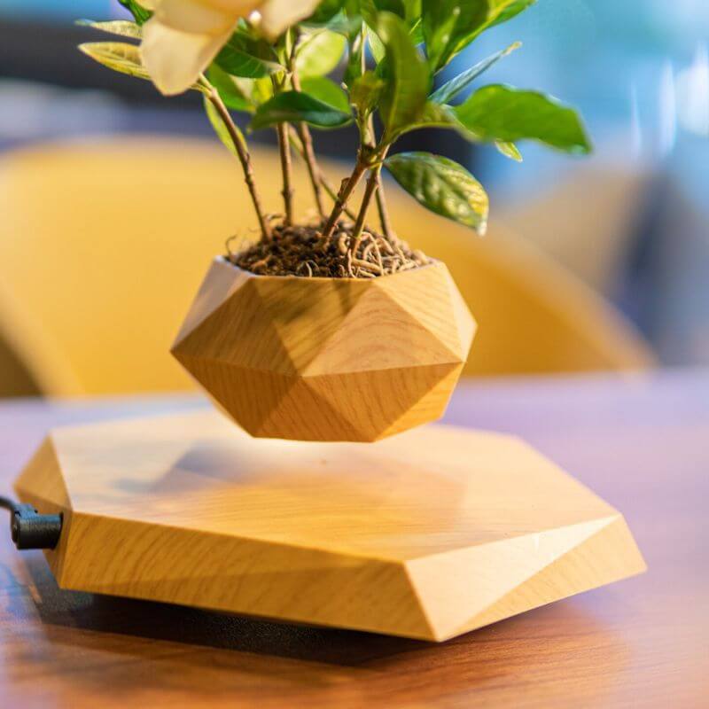 Plante qui levite - Pot de Fleur en Lévitation - Science Labs