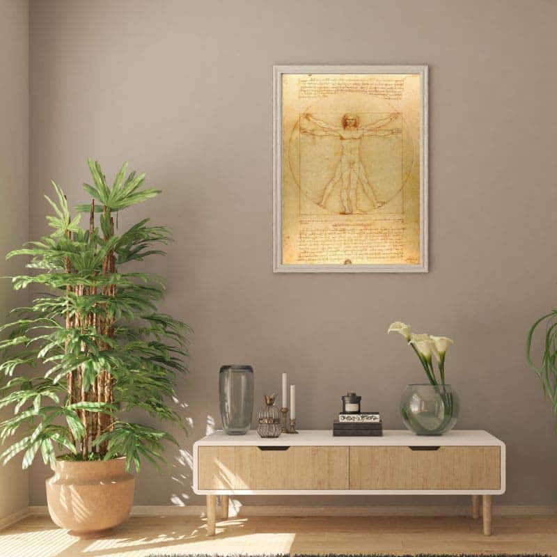 Poster l'Homme de Vitruve - Poster Scientifique - Science Labs
