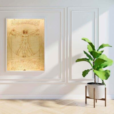 Poster Léonardo Da Vinci - Poster Scientifique - Science Labs