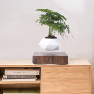 Pot de Fleur à lévitation magnétique - Pot de Fleur en Lévitation - Science Labs