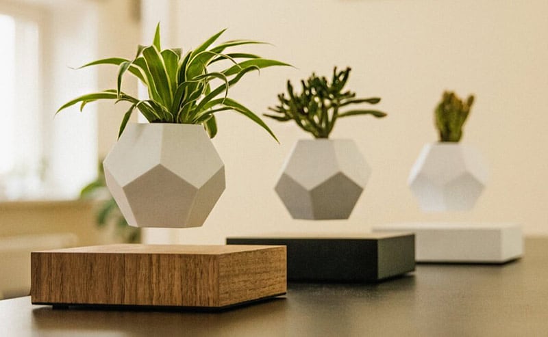 Pot de Fleur Lévitation Collection