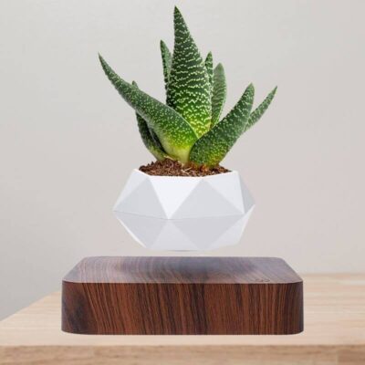 Magnetic Levitating Flower Pot Design, Schwebender Designer-Blumentopf