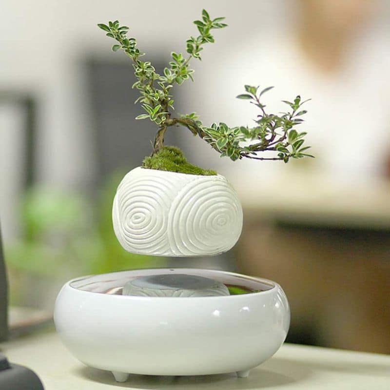 Pot de Fleur qui Lévite - Pot de Fleur en Lévitation - Science Labs