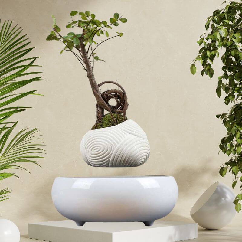 Chic Levitation Flower Pot, Schicker Schwebender Blumentopf