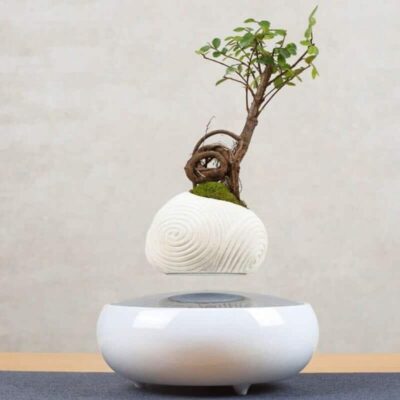 Pot de Fleur qui Lévite - Pot de Fleur en Lévitation - Science Labs