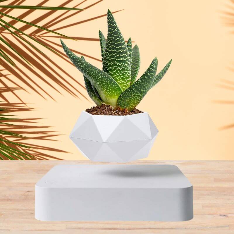 Weiß Magnetic Floating Vase, Schwebender Blumentopf Weiß