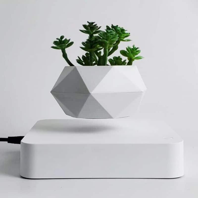 Vase Flottant Magnétique Blanc - Pot de Fleur en Lévitation - Science Labs