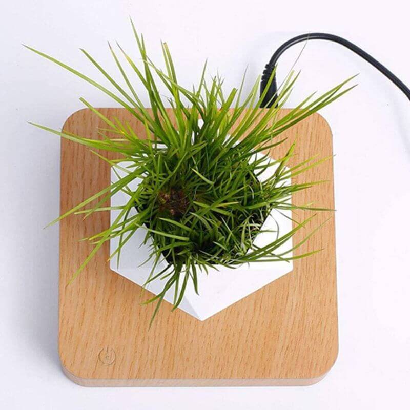 Vase Lévitation - Pot de Fleur en Lévitation - Science Labs