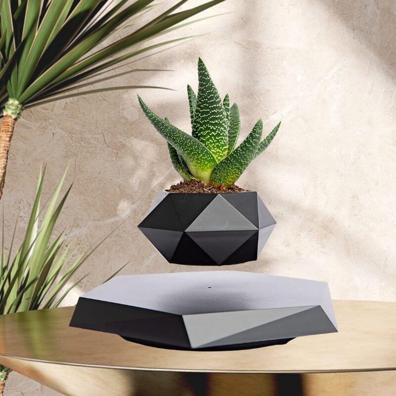 Levitating Schwarz Magnetic Plant Vase, Schwebende schwarze Pflanzenvase