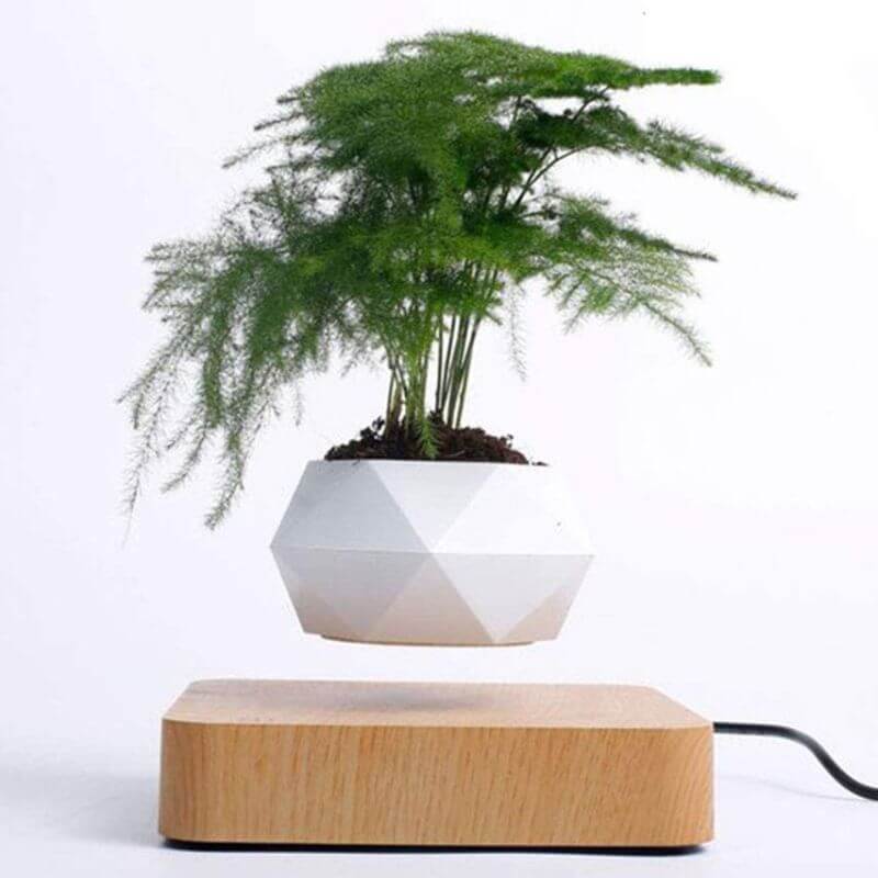 Vase qui lévite - Pot de Fleur en Lévitation - Science Labs