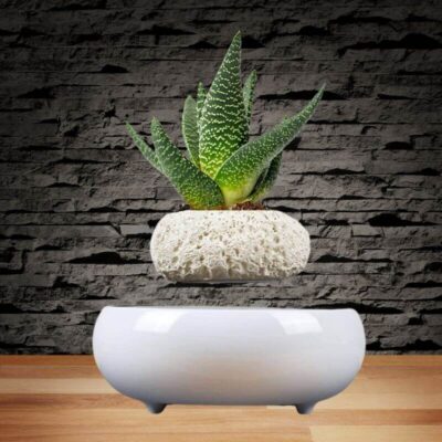 Vase Suspension Magnétique - Pot de Fleur en Lévitation - Science Labs, Schwebende Korallenvase