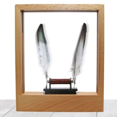 Slow Dance Picture Frame, Slow Motion Illusionsrahmen