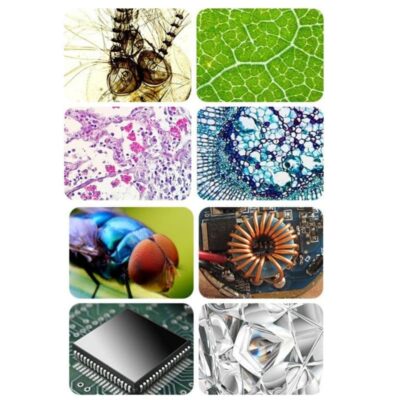 Microscope Ado - Microscope Enfant - Science Labs