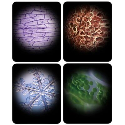 Mini microscope portatif - Microscope Enfant - Science Labs