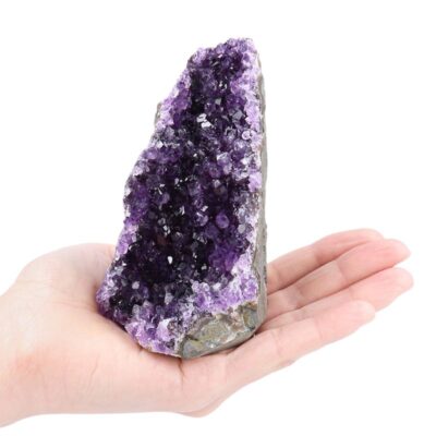 Améthyste Géode - Pierres et Minéraux - Science Labs