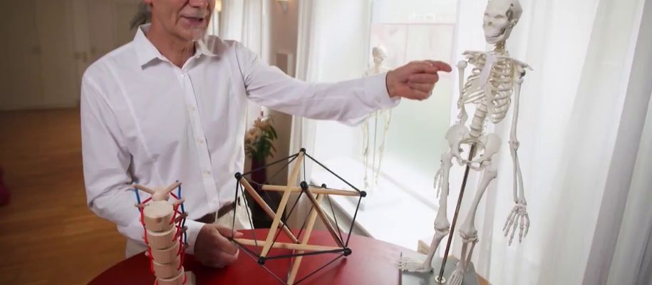 Tenségrité Corps Humain