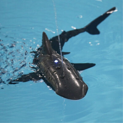 Robot Requin Télécommandé - Robot Jouet - Science Labs