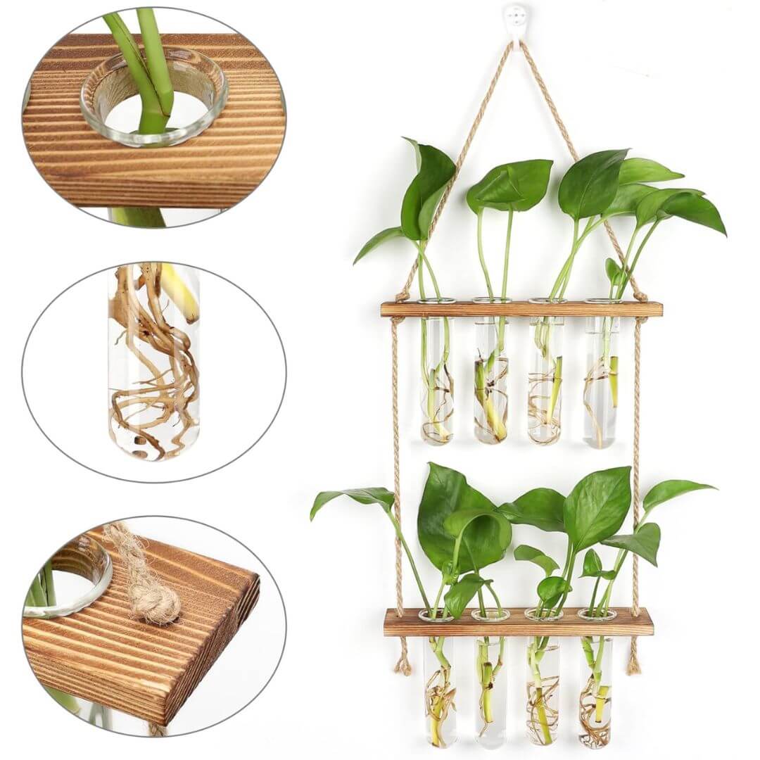 Reagenzglas Wandvase für Stecklinge Bild 5