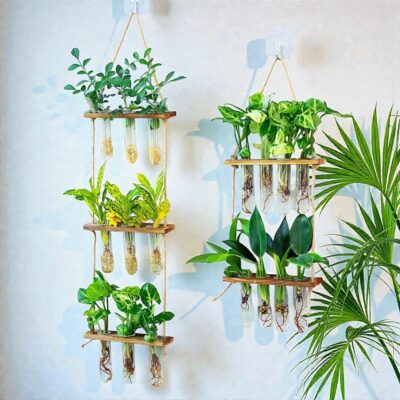 Reagenzglas Wandvase für Stecklinge