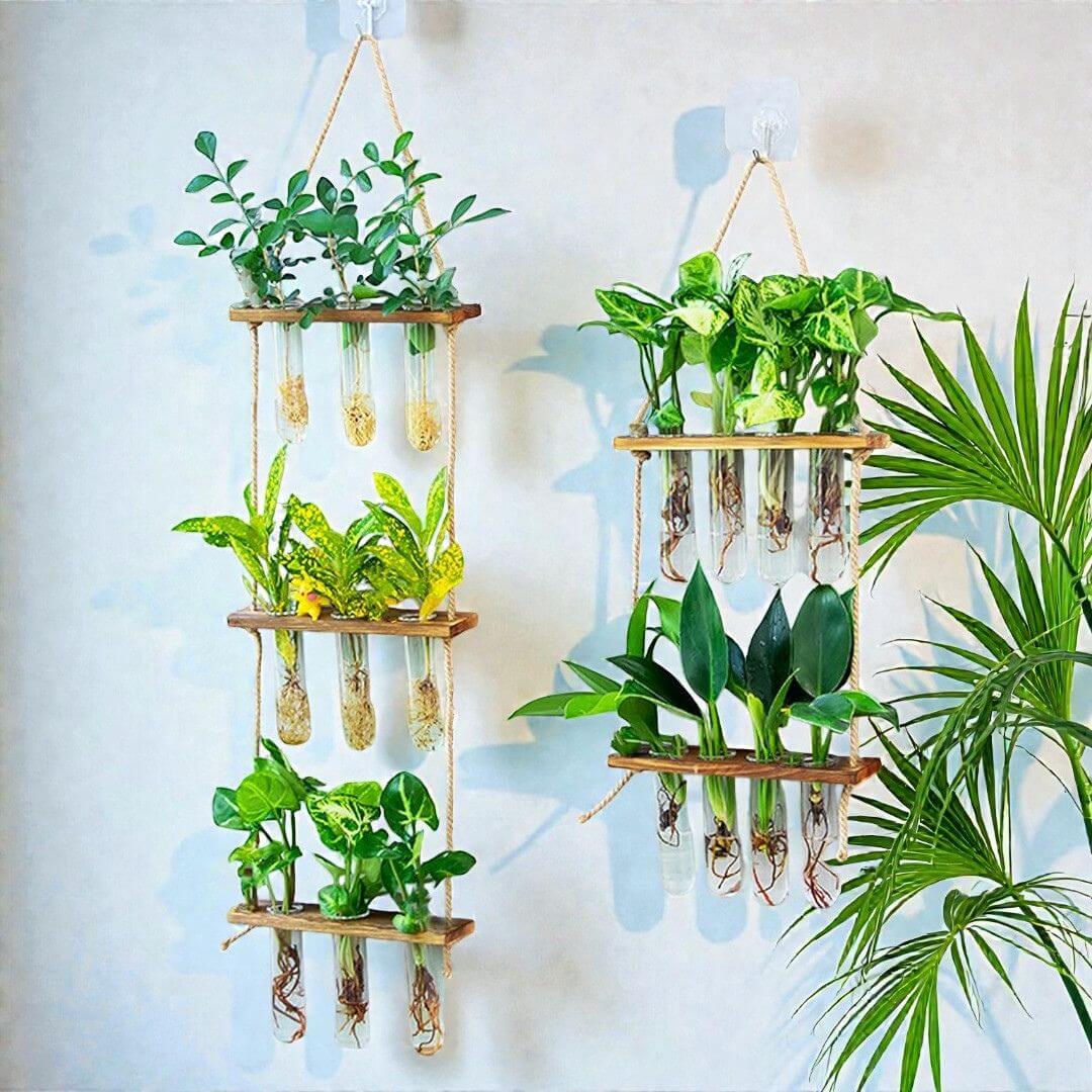 Reagenzglas Wandvase für Stecklinge