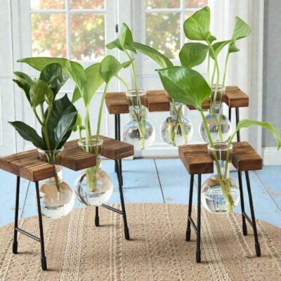 Hydrokultur Vase Vintage 3er Set