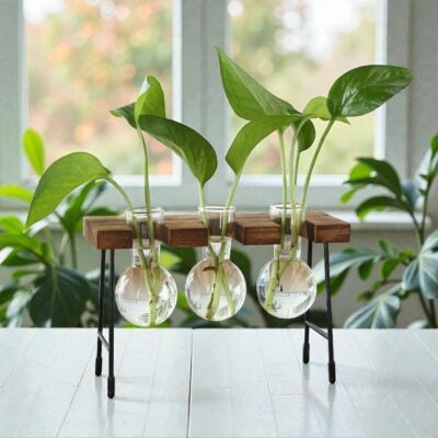 Hydrokultur Vase Vintage 3er Set Bild 5