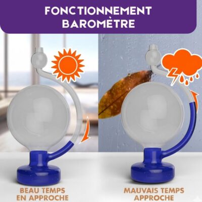 Goethe Barometer aus Glas Bild 5