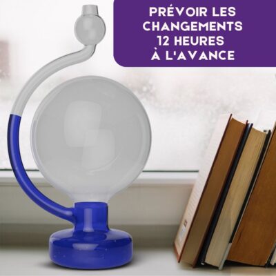 Goethe Barometer aus Glas Bild 7