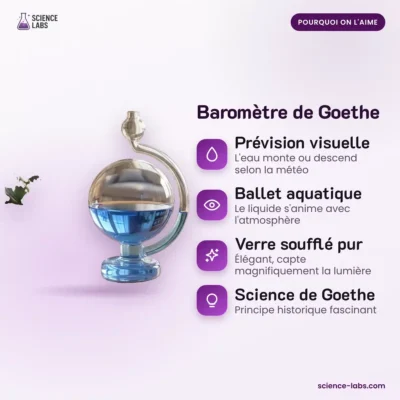 Goethe Barometer aus Glas Bild 3
