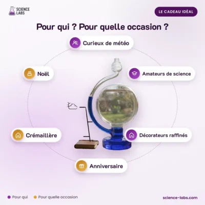 Goethe Barometer aus Glas Bild 4
