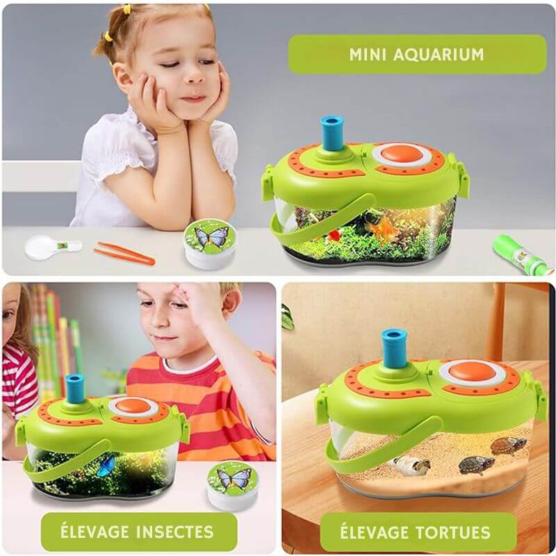 Insektenbox für Kinder mit LED Bild 5