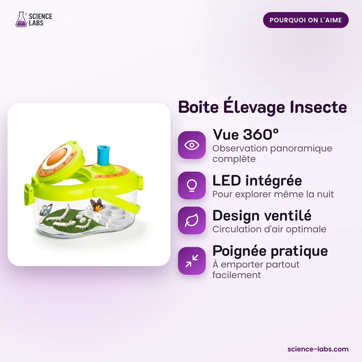 Insektenbox für Kinder mit LED Bild 3