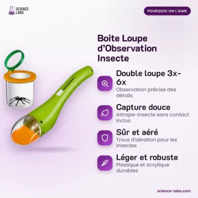 Becherlupe für Insekten Bild 3