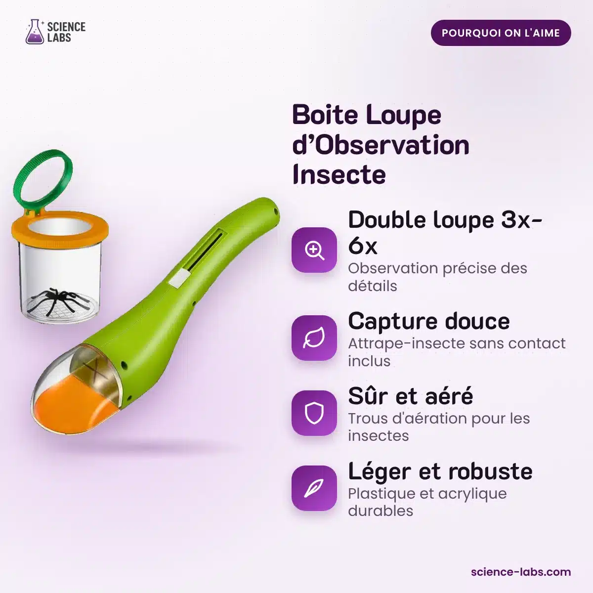 Becherlupe für Insekten Bild 3