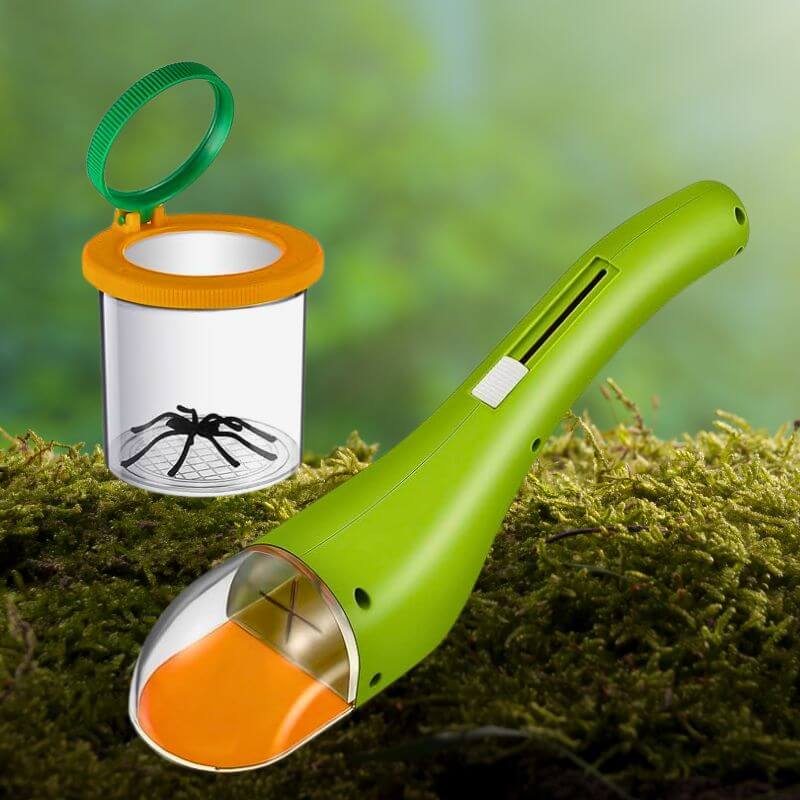 Becherlupe für Insekten