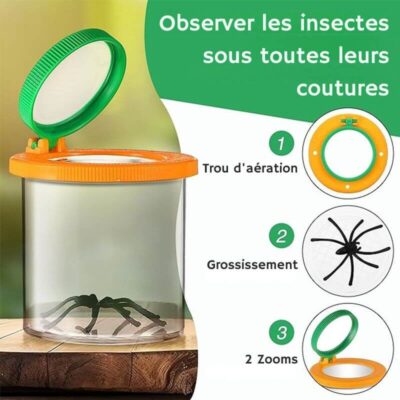 Becherlupe für Insekten Bild 6