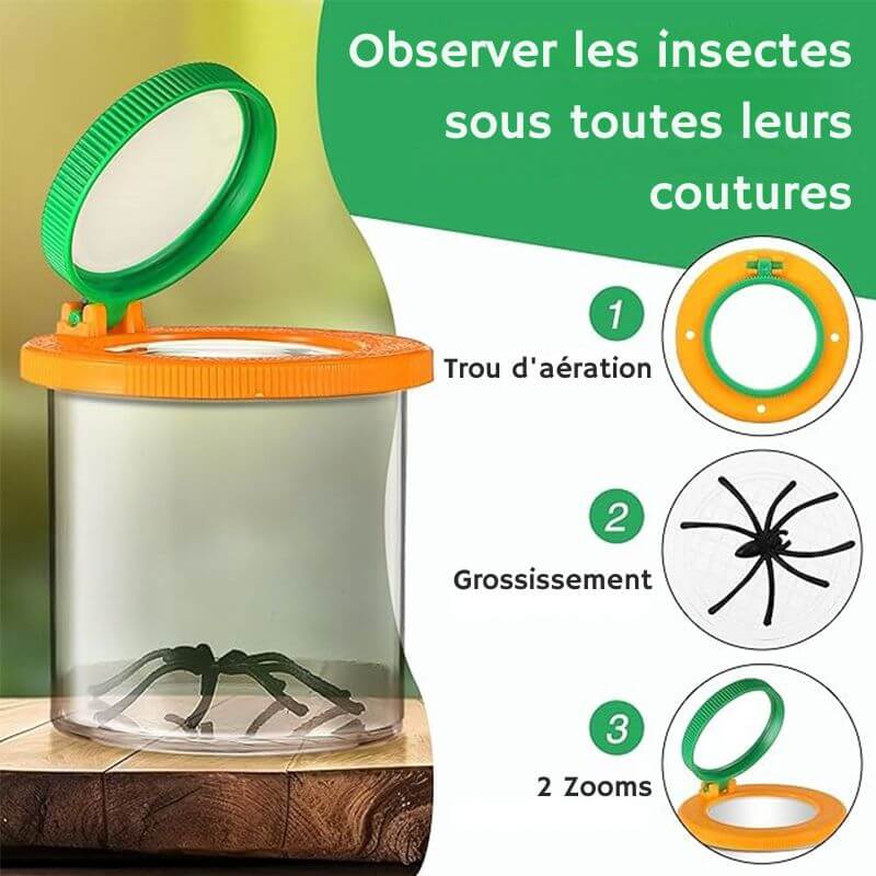 Becherlupe für Insekten Bild 6