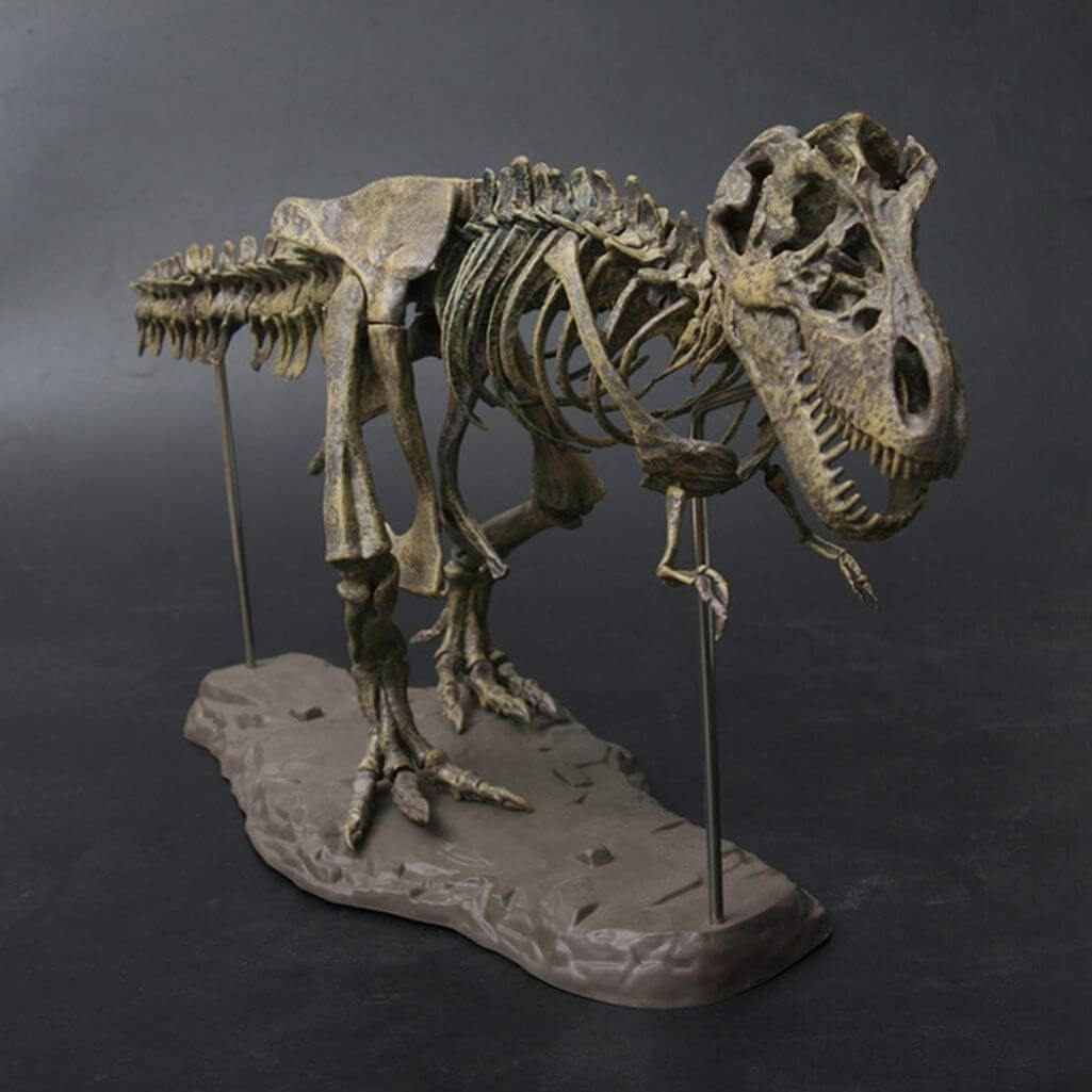 Dinosaurier Skelett Bausatz Bild 2