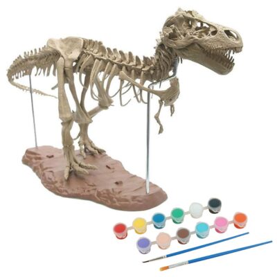 Dinosaurier Skelett Bausatz Bild 5