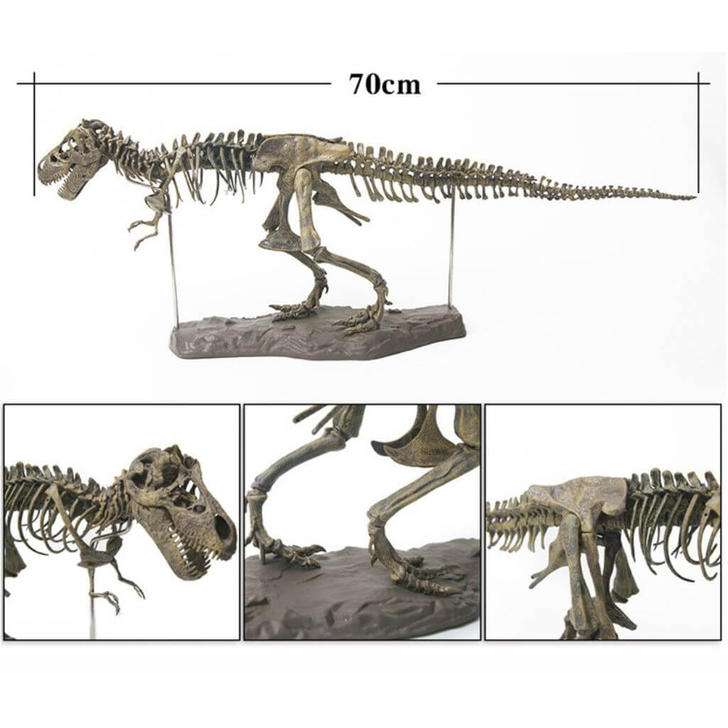 Dinosaurier Skelett Bausatz Bild 6
