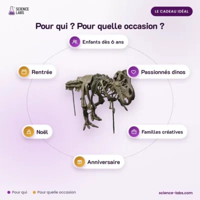 Dinosaurier Skelett Bausatz Bild 4