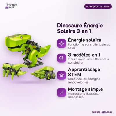 Solar Dinosaurier Bausatz 3 in 1 Bild 3
