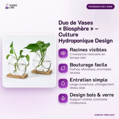 Hydroponik Vasen Duo mit Holzständer Bild 3