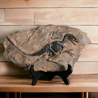 Dinosaurier Fossil Replik